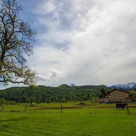 Gaestehaus Dobernig Sankt Niklas an der Drau Dış mekan fotoğraf