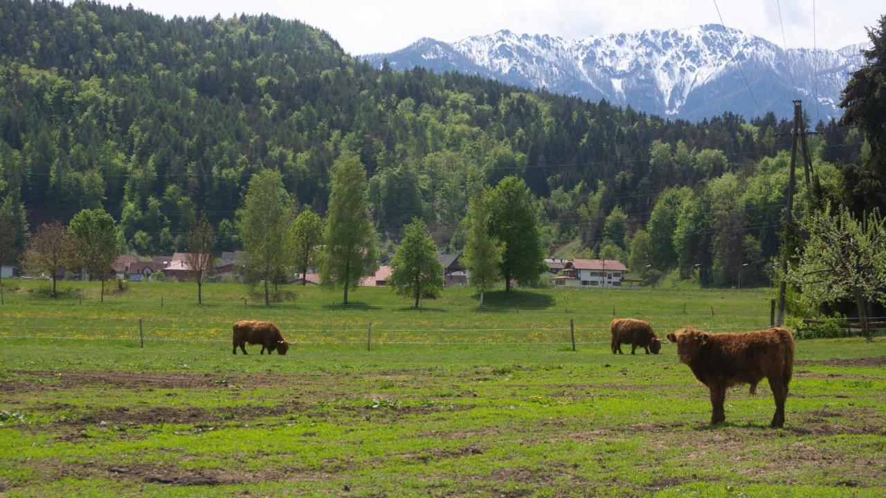 Gaestehaus Dobernig Sankt Niklas an der Drau Dış mekan fotoğraf